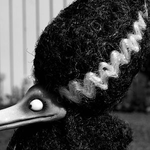 Photo Frankenweenie
