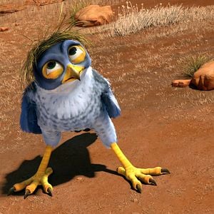 Photo Drôles D'oiseaux