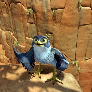 Photo Drôles D'oiseaux