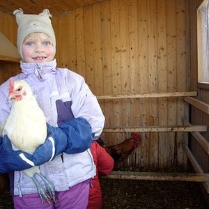 Photo Die Kinder vom Napf