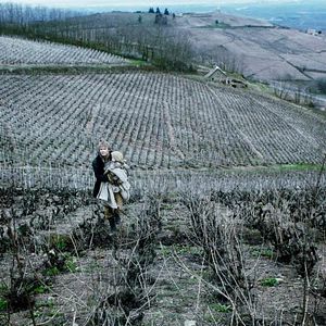 Photo The Vintner's Luck