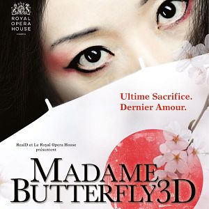 Photo Madame Butterfly 3D (Côté diffusion)