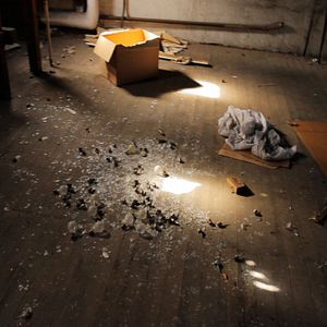 Photo Bulb Fiction