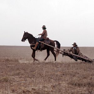 Photo Un colt pour une corde