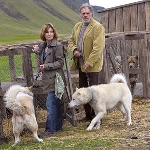 Photo Island - Herzen im Eis
