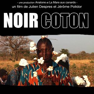 Photo Noir Coton