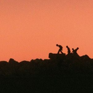 Photo Schildkrötenwut