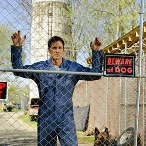 Photo Junkyard Dog