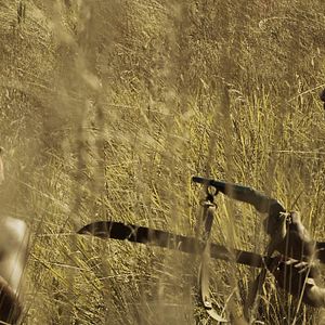 Photo Leonel Arancibia