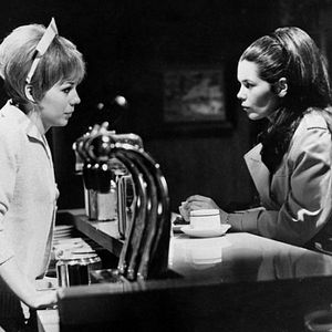 Photo Dark Shadows