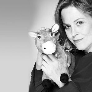 Photo Political Animals
