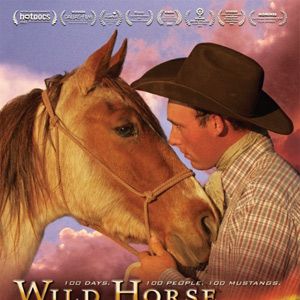 Photo Wild Horse, Wild Ride