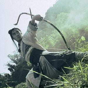 Photo Butterfly swords