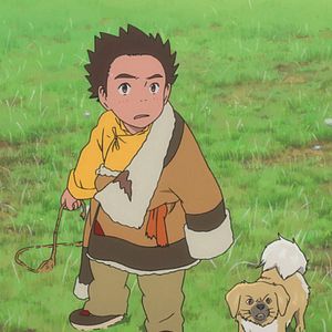 Photo Le Chien du Tibet