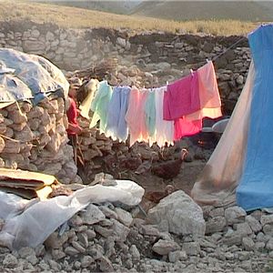 Photo Kurdish Lover