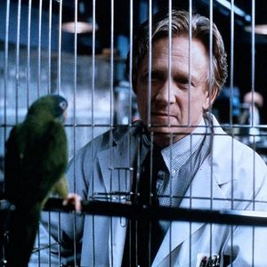 Photo Paulie, le perroquet qui parlait trop