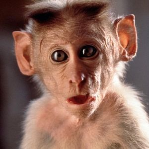 Photo Hanuman