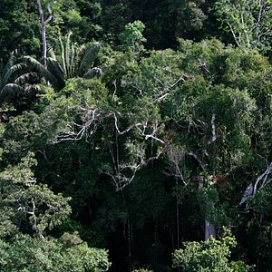 Photo Ecuador une politique au-delà de l'utopie