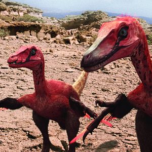 Photo Dinotasia