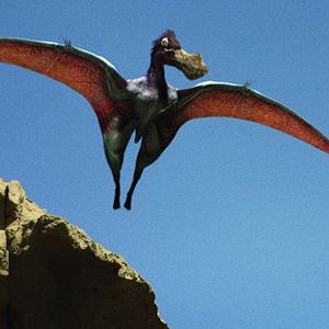 Photo Dinotasia