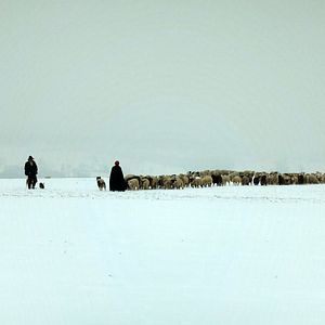 Photo Hiver nomade