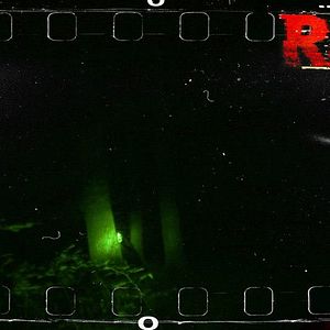 Photo Raw
