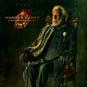 Photo Hunger Games - L'embrasement