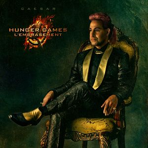 Photo Hunger Games - L'embrasement