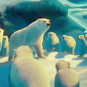 Photo John Stevenson