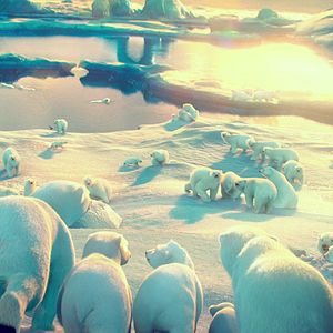 Photo John Stevenson