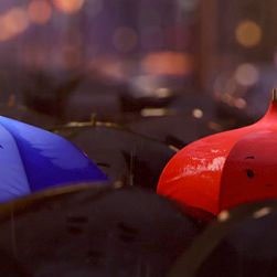 Photo Le Parapluie bleu