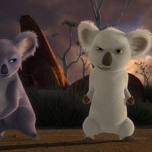 Photo Koala Kid