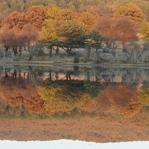 Photo Lake Placid: The Final Chapter