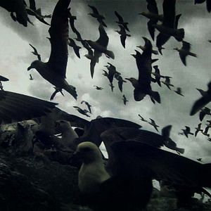 Photo Leviathan