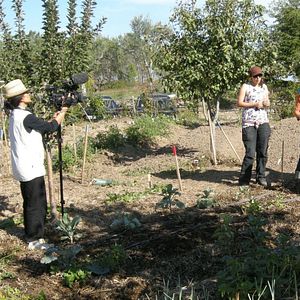 Photo Pierre Rabhi au nom de la terre