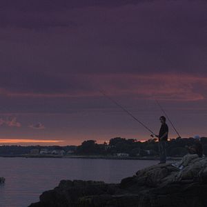 Photo Harvest