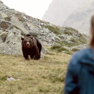 Photo Clara et le secret des ours
