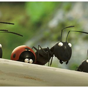 Photo Minuscule - La vallée des fourmis perdues