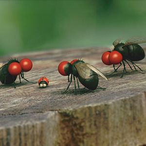 Photo Minuscule - La vallée des fourmis perdues