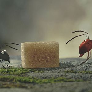 Photo Minuscule - La vallée des fourmis perdues