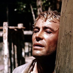 Photo Peter O'Toole