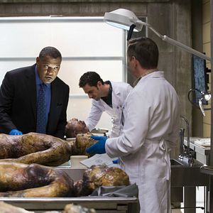 Photo Laurence Fishburne