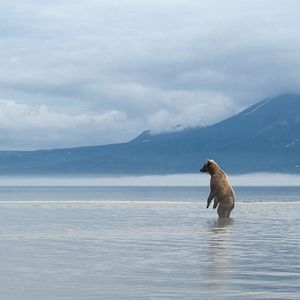 Photo Terre des Ours