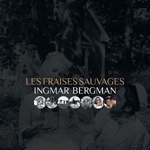Photo Les Fraises sauvages