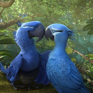 Photo Rio 2