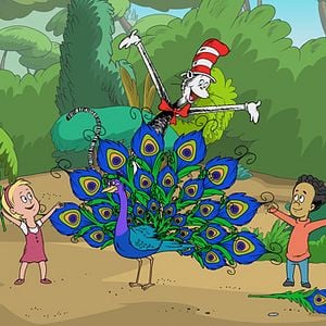 Photo The cat in the hat knows a lot about that!