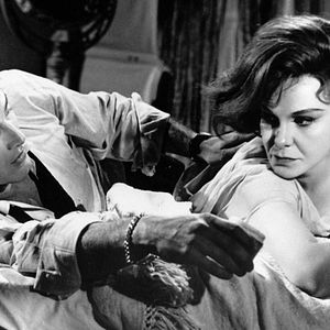 Photo Doux Oiseaux de jeunesse