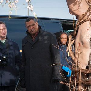 Photo Scott Thompson