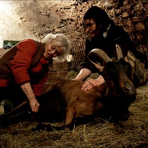 Photo Les Chèvres de ma mère