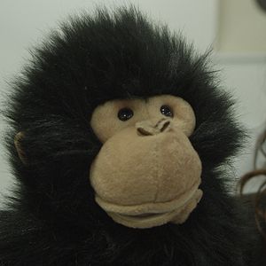 Photo Marie-Eve Perron